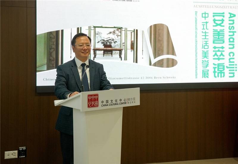 大国外交丨专访中国驻